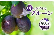 [先行受付]【9月発送】北海道 仁木町産 おすすめ プルーン 800g（400g×2パック） 果物類 果物 くだもの フルーツ 果物詰合せ [和田農園]