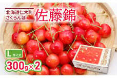 北海道 仁木町産 さくらんぼ 佐藤錦 300g×2P Lサイズ   サクランボ チェリー フルーツ 果物 果物類 ギフト 仁木町 仁木 [林果樹園]