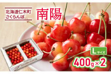 北海道 仁木町産 さくらんぼ 南陽 400g×2P Lサイズ  サクランボ チェリー フルーツ 果物 果物類 ギフト 仁木町 仁木 [林果樹園]