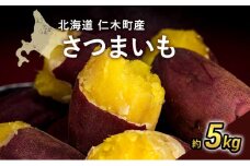 先行受付 北海道 仁木町産 さつまいも 5kg S～Lサイズ サイズバラバラ 野菜 やさい サツマイモ イモ 仁木町 [嶋田茂農園匠]