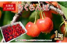 北海道 仁木町産 さくらんぼ 1kg （500g×2） 佐藤錦または紅秀峰 果樹 サクランボ チェリー フルーツ 果物 果物類 ギフト 仁木町 仁木 [くくり農園]