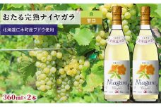 白ワインminiボトル360ml×2本「おたる完熟ナイヤガラ」（白/甘口） 北海道 仁木町 ブドウ ぶどう グレープ お酒 ワイン 白 甘口 フルーツ [JA新おたる]