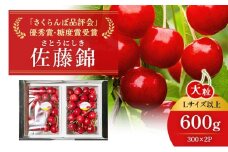 先行受付 北海道 仁木町産「匠」 さくらんぼ 【 佐藤錦 】300g×2 嶋田茂農園  サクランボ チェリー フルーツ 果物 果物類  仁木町 仁木 [嶋田茂農園匠]