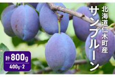 [先行受付] 北海道 仁木町産 サンプルーン 800g （400g×2） プルーン 果実 果物 くだもの フルーツ プルーン [林果樹園]