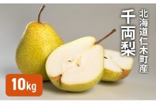 [先行受付] 北海道 仁木町産 千両梨 10kg  梨 ナシ 果実 果物 くだもの フルーツ [林果樹園]