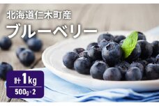 [先行受付] 北海道 仁木町産 ブルーベリー 1kg （500g×2） 果実 果物 くだもの フルーツ 甘み 酸味 [林果樹園]