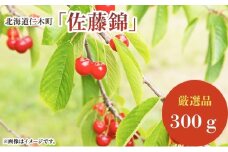 北海道 仁木町産 厳選品 さくらんぼ 佐藤錦  300g (300g×1パック) Lサイズ以上  旬 桜桃 産地直送 サクランボ チェリー フルーツ 果物 果物類 ギフト 仁木町 仁木 [松山商店]