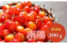 北海道 仁木町産 さくらんぼ 南陽 300g (300g×1パック) Lサイズ以上 厳選品  旬 桜桃 産地直送 サクランボ チェリー フルーツ 果物 果物類 ギフト 仁木町 仁木 [松山商店]