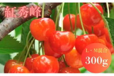 北海道 仁木町産 さくらんぼ 紅秀峰 300g (300g×1パック) L-Mサイズ 混合  旬 桜桃 産地直送 サクランボ チェリー フルーツ 果物 果物類 ギフト 仁木町 仁木 [松山商店]