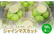 [先行受付] シャインマスカット『 LA・LA・SHINE （ ラ・ラ・シャイン ）』 180g×8パック 果物 くだもの フルーツ マスカット [JA新おたる]