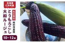 [先行受付] 北海道 仁木町産 新鮮 とうもろこし 大和ルージュ【10～12本】トウモロコシ コーン 野菜 やさい [嶋田茂農園]