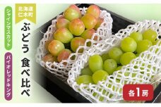 [先行受付] 北海道 仁木町 ぶどう 食べ比べ 各1房 シャインマスカット バイオレッドキング ブドウ マスカット 果物 くだもの フルーツ [嶋田茂農園]