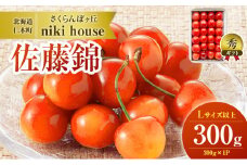 さくらんぼ 農園厳選 佐藤錦 さくらんぼ Lサイズ以上 300g（300g×1パック） 品質：ギフト向け  サクランボ チェリー フルーツ 果物 果物類 ギフト 贈答品 北海道 仁木町 仁木 [小林信幸]