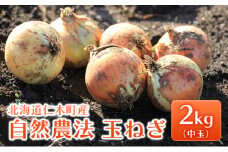 [先行受付] 北海道 仁木町産 自然農法 玉ねぎ 2kg（中玉）たまねぎ タマネギ 野菜 やさい 自然栽培 仁木 [里山農園なかのさわ]