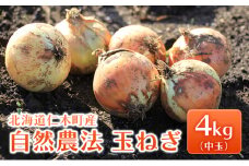 [先行受付] 北海道 仁木町産 自然農法 玉ねぎ 4kg（中玉）たまねぎ タマネギ 野菜 やさい 自然栽培 仁木 [里山農園なかのさわ]