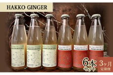 3ヵ月 定期便 仁木産アップルとグレープを使ったジンジャービア6本セット（各200ml×3本ずつ） りんご ぶどう 発酵 ジンジャー 生姜 レモン ノンアルコール 炭酸 北海道 [株式会社デリシャスフロム北海道]