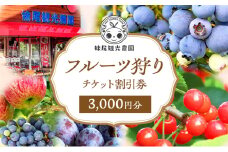 妹尾観光農園 フルーツ狩りチケット3000円 割引 チケット クーポン 利用券 フルーツ 旅行 体験 農園 北海道 仁木町 [フルーツショップ妹尾観光農園]