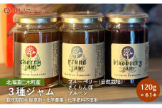 北海道仁木町産 ジャム120g×3種セット（ブルーベリー・プルーン・さくらんぼ） 栽培期間中 除草剤・化学農薬・化学肥料不使用 サクランボ プルーン ブルーベリー ジャム 果物 フルーツ 北海道 仁木町 [iori farm]