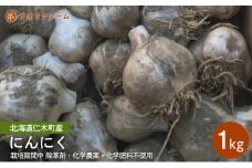 [先行受付]北海道仁木町産 にんにく1kg 栽培期間中 除草剤・化学農薬・化学肥料不使用【日付指定不可】 ニンニク 野菜 やさい 北海道 仁木町 [iori farm]