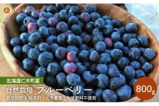 [先行受付]北海道仁木町産 ブルーベリー800g 栽培期間中 除草剤・化学農薬・化学肥料不使用【日付指定不可】果物 くだもの フルーツ フレッシュ [iori farm]
