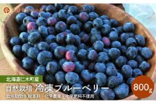 [先行受付]北海道仁木町産 冷凍ブルーベリー800g 栽培期間中 除草剤・化学農薬・化学肥料不使用【日付指定不可】果物 くだもの フルーツ 冷凍 [iori farm]