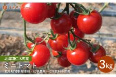 [先行受付]北海道仁木町産 ミニトマト[アイコもしくはまる玉] 3kg 栽培期間中 除草剤・化学農薬・化学肥料不使用【日付指定不可】トマト 野菜 やさい  [iori farm]