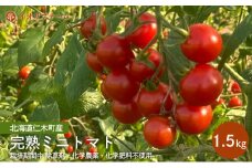 [先行受付]北海道仁木町産 完熟ミニトマト[アイコもしくはまる玉] 1.5kg 栽培期間中 除草剤・化学農薬・化学肥料不使用【日付指定不可】トマト 野菜 やさい [iori farm]