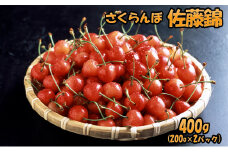 北海道 仁木町産 さくらんぼ 佐藤錦 400g（200g×2パック）  サクランボ チェリー フルーツ 果物 果物類 ギフト 仁木町 仁木 [JA新おたる]