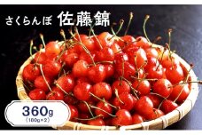 先行受付 北海道 仁木町産 さくらんぼ 佐藤錦 360g（180g×2パック）  サクランボ チェリー フルーツ 果物 果物類  仁木町 仁木 [JA新おたる]