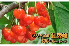 北海道 仁木町産 さくらんぼ 紅秀峰 300g（300g×1パック） サクランボ チェリー フルーツ 果物 果物類 ギフト 仁木町 仁木 [JA新おたる]