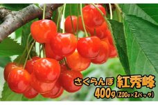 北海道 仁木町産 さくらんぼ 紅秀峰 400g（200g×2パック） サクランボ チェリー フルーツ 果物 果物類 ギフト 仁木町 仁木 [JA新おたる]