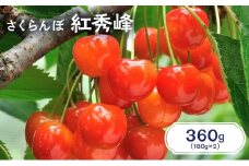先行受付 北海道 仁木町産 さくらんぼ 紅秀峰 360g（180g×2パック） サクランボ チェリー フルーツ 果物 果物類  仁木町 仁木 [JA新おたる]