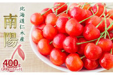 北海道 仁木町産 さくらんぼ 南陽 400g（200g×2パック）  サクランボ チェリー フルーツ 果物 果物類 ギフト 仁木町 仁木 [JA新おたる]