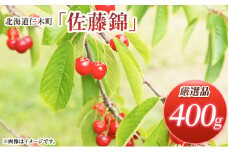 北海道 仁木町産 厳選品 さくらんぼ 佐藤錦 400g Lサイズ以上 　旬 桜桃 産地直送 サクランボ チェリー フルーツ 果物 果物類 ギフト 仁木町 仁木 [松山商店]