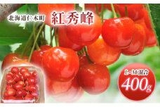 北海道 仁木町産 さくらんぼ 紅秀峰 400g (200g×2パック) L-Mサイズ 混合　旬 桜桃 産地直送 サクランボ チェリー フルーツ 果物 果物類 ギフト 仁木町 仁木 [松山商店]