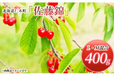 北海道 仁木町産 さくらんぼ 佐藤錦 400g (200g×2パック) L-Mサイズ 混合　旬 桜桃 産地直送 サクランボ チェリー フルーツ 果物 果物類 ギフト 仁木町 仁木 [松山商店]