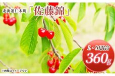 北海道 仁木町産 さくらんぼ 佐藤錦 360g (180g×2パック) L-Mサイズ 混合　旬 桜桃 産地直送 サクランボ チェリー フルーツ 果物 果物類  仁木町 仁木 [松山商店]