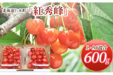 先行受付 北海道 仁木町産 さくらんぼ 紅秀峰 600g (300g×2パック) L-Mサイズ 混合　旬 桜桃 産地直送 サクランボ チェリー フルーツ 果物 果物類  仁木町 仁木 [松山商店]