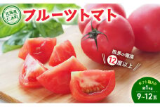 【先行受付】 北海道 仁木町産 フルーツトマト 約1kg 【 限界の糖度12度以上 】[ 戸嶋農園 ] トマト 北海道産