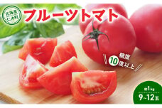 【先行受付】 北海道 仁木町産 フルーツトマト 約1kg 【 糖度10度以上 】[ 松山商店 ] トマト 北海道産