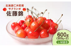北海道 仁木町産 さくらんぼ 佐藤錦 600g （300g×2） L・M混合　旬の果物 サクランボ チェリー フルーツ 果物 果物類 ギフト 仁木町 仁木 [UMIX FARM]