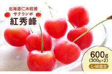 北海道 仁木町産 さくらんぼ 紅秀峰 600g （300g×2） L・M混合　旬の果物 サクランボ チェリー フルーツ 果物 果物類 ギフト 仁木町 仁木 [UMIX FARM]