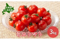【先行受付】北海道 仁木町産 ミニトマト 3kg　小林農園 [ トマト 北海道産 野菜 新鮮 ]
