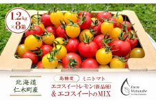 北海道 仁木町産 高糖度 ミニトマト 【エコスイートレモン(新品種)&エコスイートのMIX】1.2kg×8箱 [栽培期間中 農薬・化学肥料不使用、除草剤不使用] サイズ混載 2025年産 [Farm Watanabe]