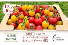 北海道 仁木町産 高糖度 ミニトマト 【エコスイートレモン(新品種)&エコスイートのMIX】1.2kg×10箱 [栽培期間中 農薬・化学肥料不使用、除草剤不使用] サイズ混載 2025年産 [Farm Watanabe]