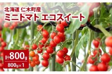 北海道 仁木町産 ミニトマト エコスイート 800g [林果樹園]【トマト ミニトマト エコスイート 高糖度 フルーツトマト 赤 サラダ パスタ スープ 常備菜 産地直送 旬 健康 リコピン ビタミンC 美容】