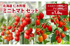 北海道 仁木町産 ミニトマト エコスイート800g・アイコ800g セット [林果樹園]【トマト ミニトマト エコスイート アイコ 高糖度 フルーツトマト 赤 サラダ パスタ スープ 常備菜 産地直送 旬 健康】