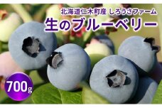 [先行受付] 北海道 仁木町産 有機栽培ブルーベリー700g サイズ混合 果物 くだもの フルーツ ブルーベリー[しろうさファーム]