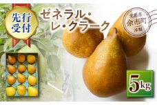 【2025年10月中旬以降発送分先行予約】洋梨（ゼネラル・レ・クラーク） 5kg
