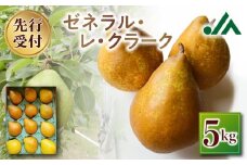 【2025年10月中旬以降発送分先行予約】洋梨（ゼネラル・レ・クラーク） 5kg